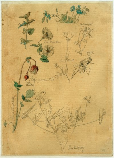 J. Th. Lundbye, Plant Study by Johan Thomas Lundbye