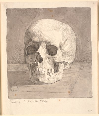 Skull, Seen from the Front by Johan Thomas Lundbye