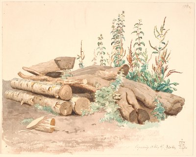 Some Felled Tree Trunks, a Water Trough, and Various Plant Growths by Johan Thomas Lundbye