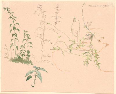 Plant Studies by Johan Thomas Lundbye