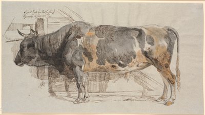 Standing Bull in its Stall by Johan Thomas Lundbye