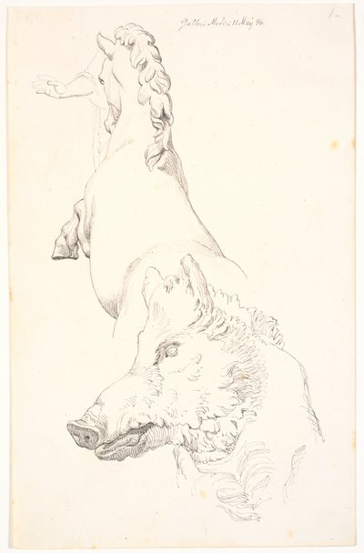 Study after Antique Sculptures: Boar