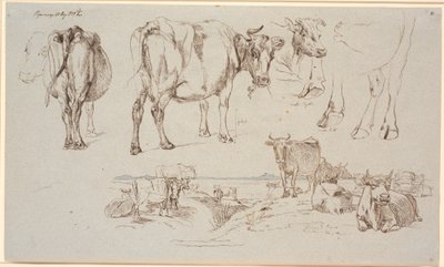 Study sheet from Vognserup. Studies of cows, landscape with standing and lying cows by Johan Thomas Lundbye