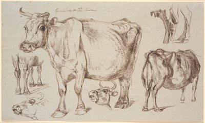 Study Sheet from Vognserup. Various Studies of a Cow by Johan Thomas Lundbye