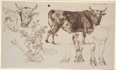 Study Sheet from Vognserup. Left: Two Cow Heads, Below a Dock Leaf. From the Middle to the Right: A Standing Bull, Below Studies of Its Legs by Johan Thomas Lundbye