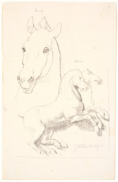 Studies After Antique Sculptures. At the Top a Horse
