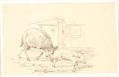 The Ram and the Pig. Illustration for Kaalund