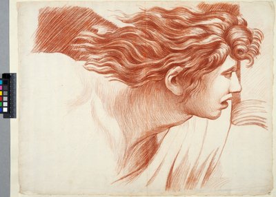 Academy Drawing. Detail from Raphael