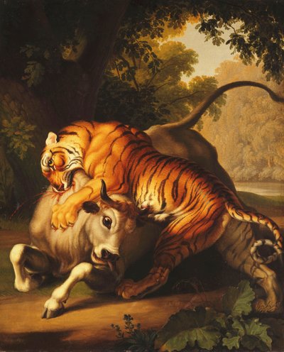 A Tiger Attacking a Bull by Johan Wenzel Peter