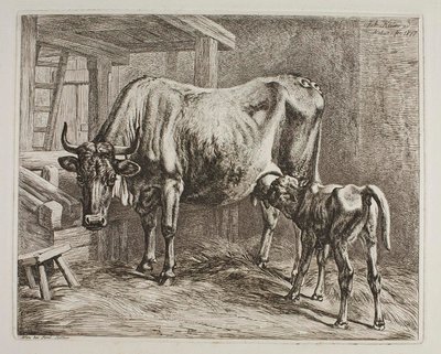 Cow with Suckling Calf by Johann Adam Klein