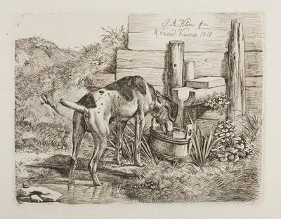 Dog Drinking Water by Johann Adam Klein