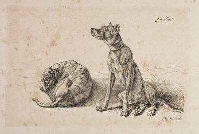 Guerilla, Two Dogs by Johann Adam Klein