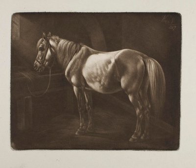 Horse by the Crib by Johann Adam Klein