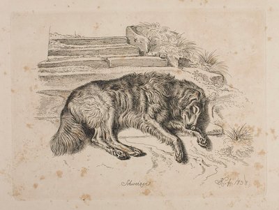 Schweizer, a Dog by Johann Adam Klein