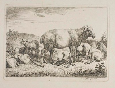 Sheep with Lambs by Johann Adam Klein