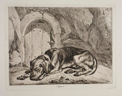 The Dog Legere by Johann Adam Klein