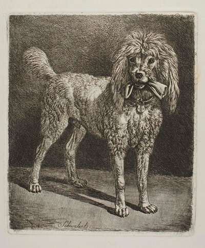 The Poodle Schwalerl by Johann Adam Klein