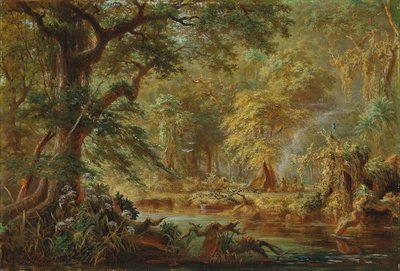 Brazilian Indian camp beside a river in the rainforest by Johann Adolf Höffler