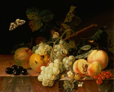 Fruit on a Marble Ledge with Butterflies, Snail and Caterpillar by Johann Amandus Wink