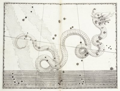 Constellation of Serpens Caput and Serpens Cauda by Johann Bayer