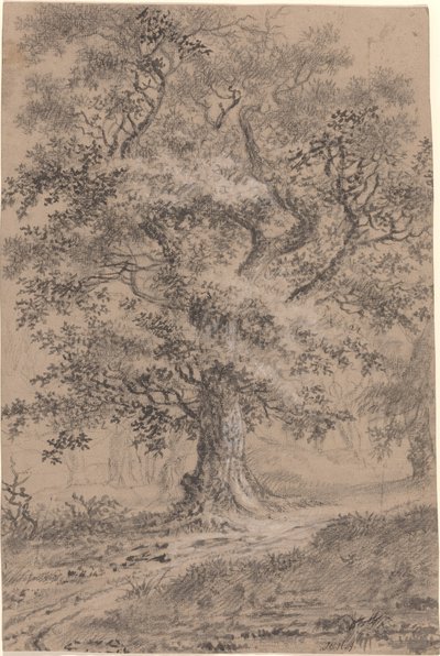 A Leafy Oak by a Woodland Path by Johann Caspar Huber