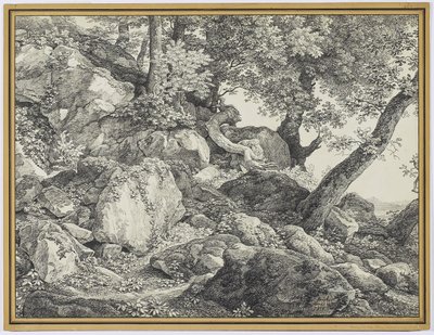 In the Park of the Palazzo Chigi, Ariccia by Johann Christian Reinhardt