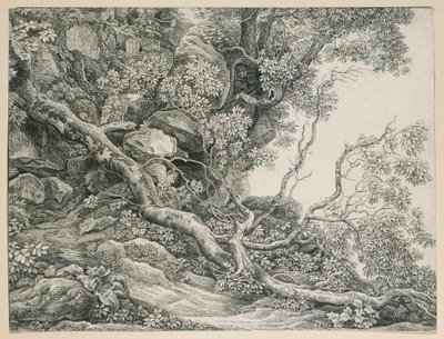 Trees on a Rocky Slope by Johann Christian Reinhart