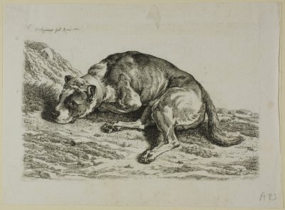 Dog Laying Down, from Die Zweite Thierfolge by Johann Christian Reinhart