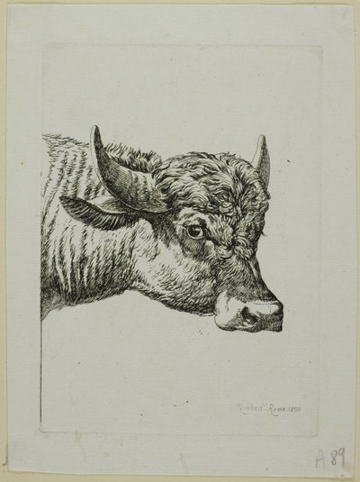 Head of a Buffalo, from Die Zweite Thierfolge by Johann Christian Reinhart