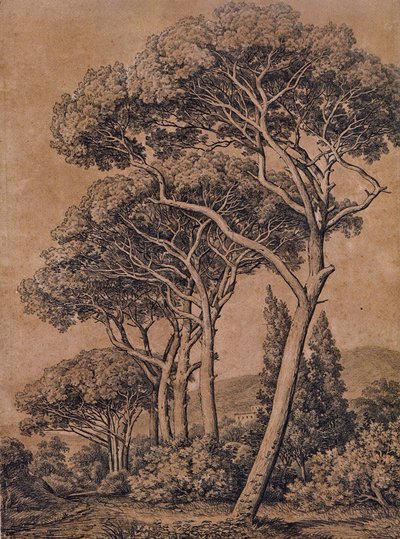 Schirmpinien 1791 by Johann Christian Reinhart