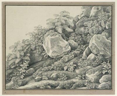 Foreground Study: Rocks, Bushes, Ferns and Foliage Plants by Johann Christian Reinhart