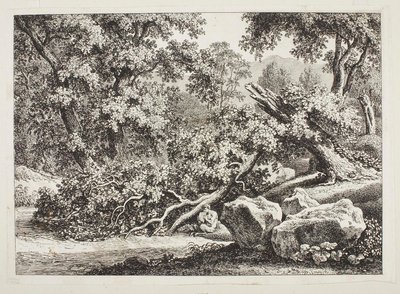 Woodland Scene with Broken Oak by Johann Christian Reinhart