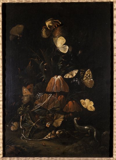 Flowers with Butterflies and Lizard by Johann Christian Thomas Winck