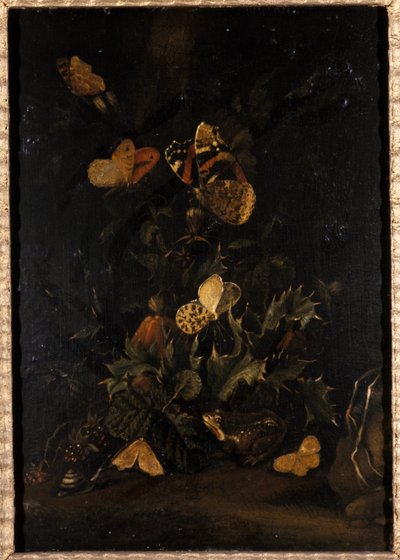 Flowers with Butterflies and Toad by Johann Christian Thomas Winck