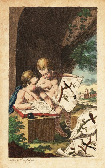 Two Young Ornithologists Studying Bird Prints by Johann Conrad Kruger