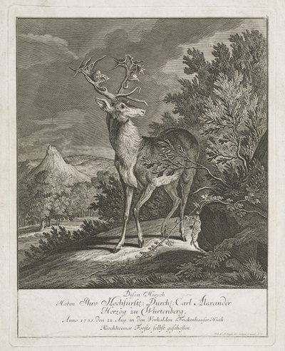 A Magnificent Stag in a Landscape by Johann Elias Ridinger