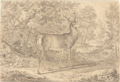 A Splendid Young Stag before a Wattle Fence by Johann Elias Ridinger