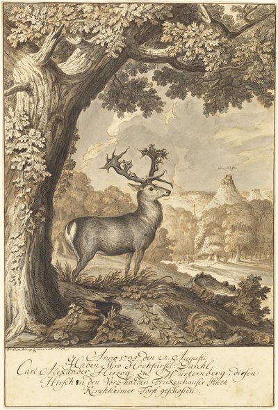 A Stag beneath a Mighty Oak by Johann Elias Ridinger