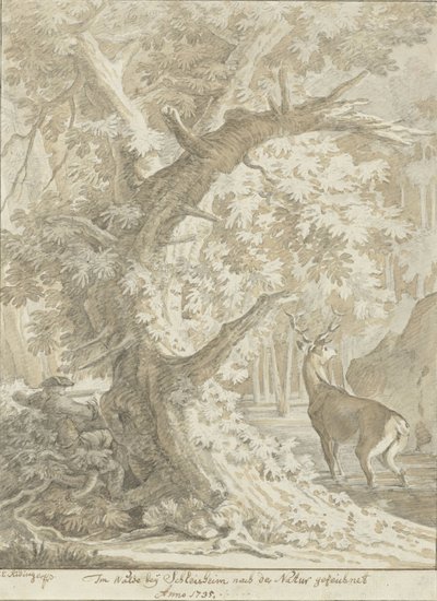 Hunter Aiming at a Red Deer in the Water Under an Old Tree by Johann Elias Ridinger