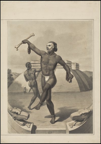 A Collection of Waldeck