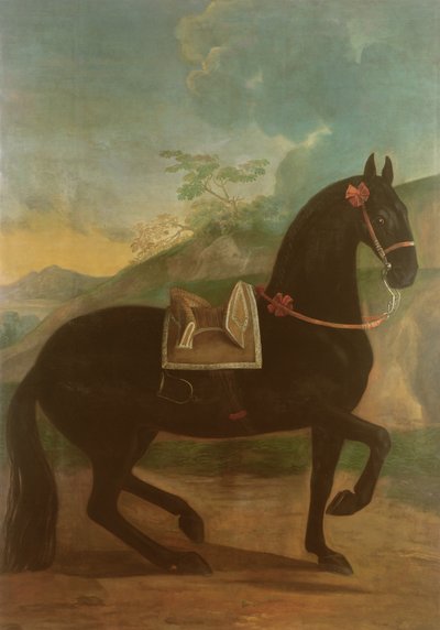 A Black Horse sporting a Spanish Saddle by Johann Georg Hamilton