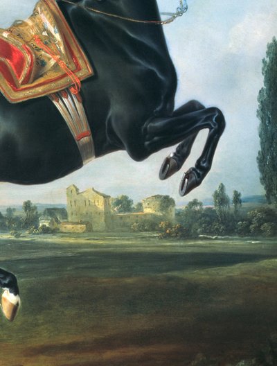 A Black Horse Performing the Courbette (detail) by Johann Georg Hamilton