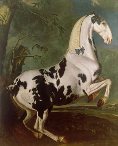 The Piebald Stallion at the Eisgruber Stud by Johann Georg Hamilton