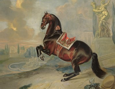 The Dark Bay Horse 