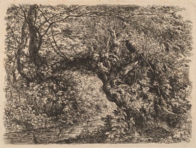 An Old Willow by a Stream by Johann Georg von Dillis