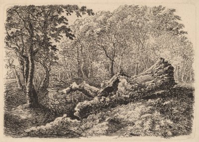 Mouldering Tree Trunk by Johann Georg von Dillis