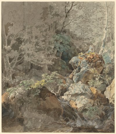 Waterfalls in a Mountain Forest by Johann Georg von Dillis