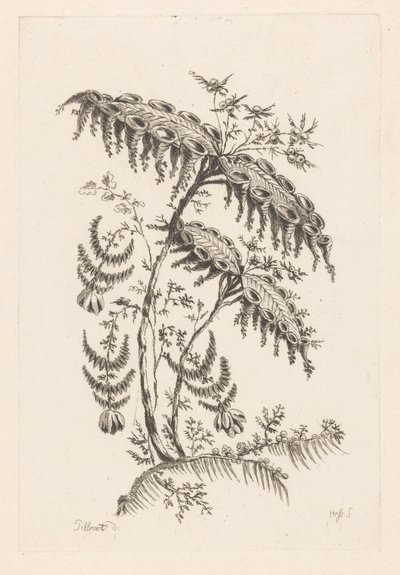 Leaves with Horn Shapes (Baroque Flowers) by Johann Heinrich  Hess