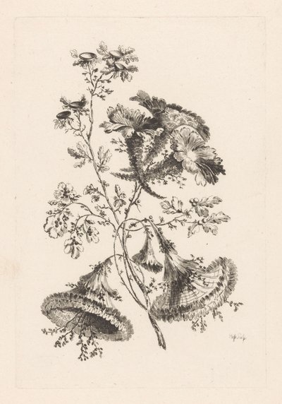 Triangular Flowers (Fleures Baroque) (series title) by Johann Heinrich  Hess