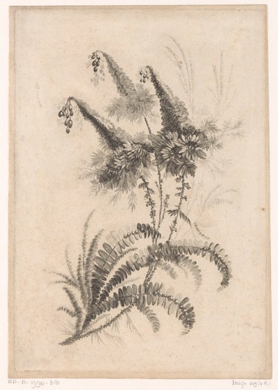 Pointed Flowers from Recueil De Nouvelles Fleurs De Goût; Pour la Manufacture des Etoffes de Perse by Johann Heinrich  Hess
